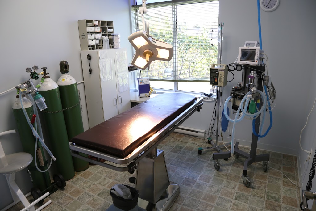 Hôpital Vétérinaire de Varennes | 81 Rue de la Rivière, Varennes, QC J3X 1P7, Canada | Phone: (450) 652-5252