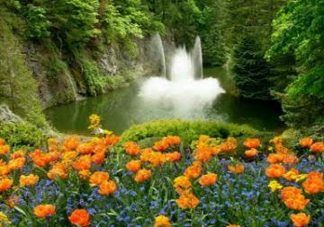 Bog Garden | Brentwood Bay, BC HX12B, Canada