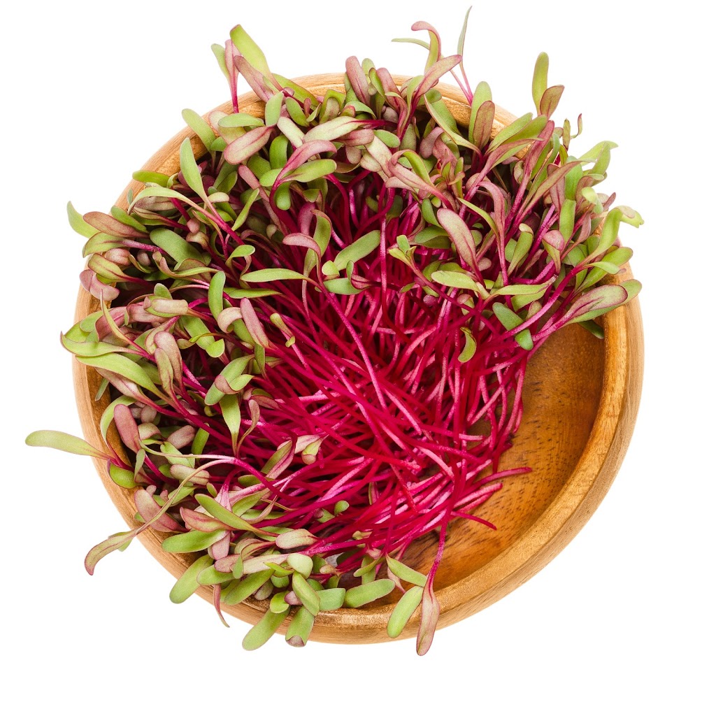 A&S Microgreens | 4144 St Catherines Dr #1, Cobble Hill, BC V0R 1L3, Canada | Phone: (250) 710-6135
