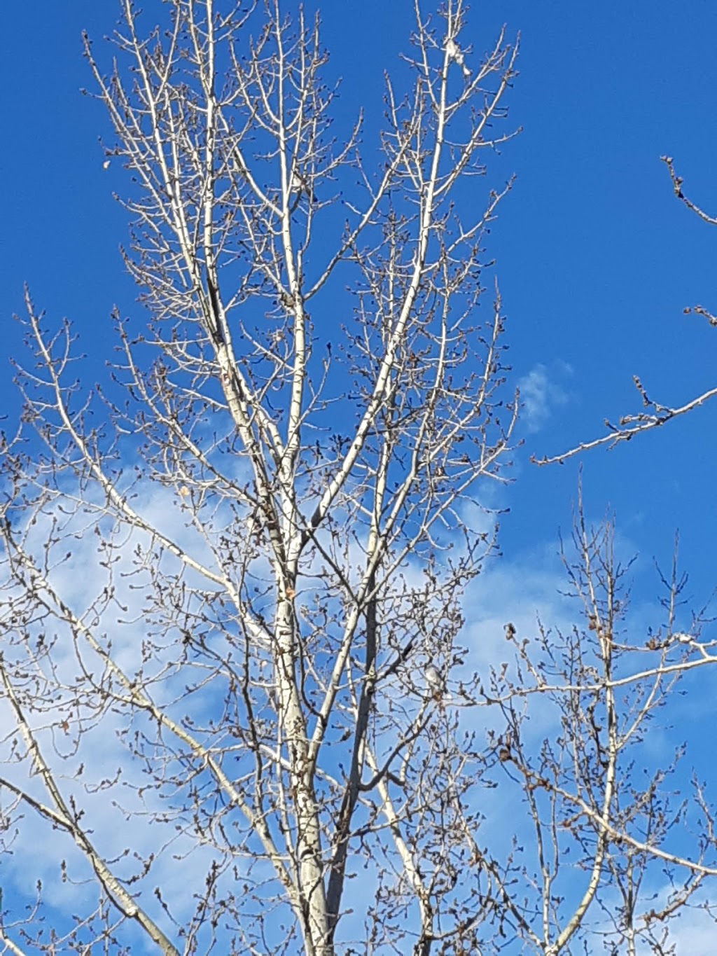 Highland Valley Park | Highland Park, Calgary, AB T2K 6K8, Canada | Phone: (403) 268-2489
