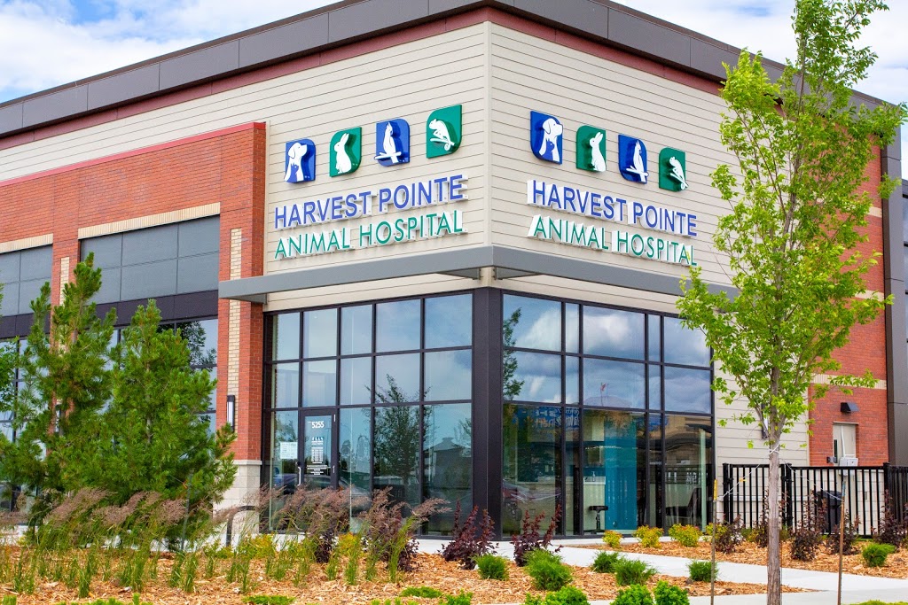 Harvest Pointe Animal Hospital | 5255 Ellerslie Rd SW, Edmonton, AB T6X 1X2, Canada | Phone: (587) 735-6677