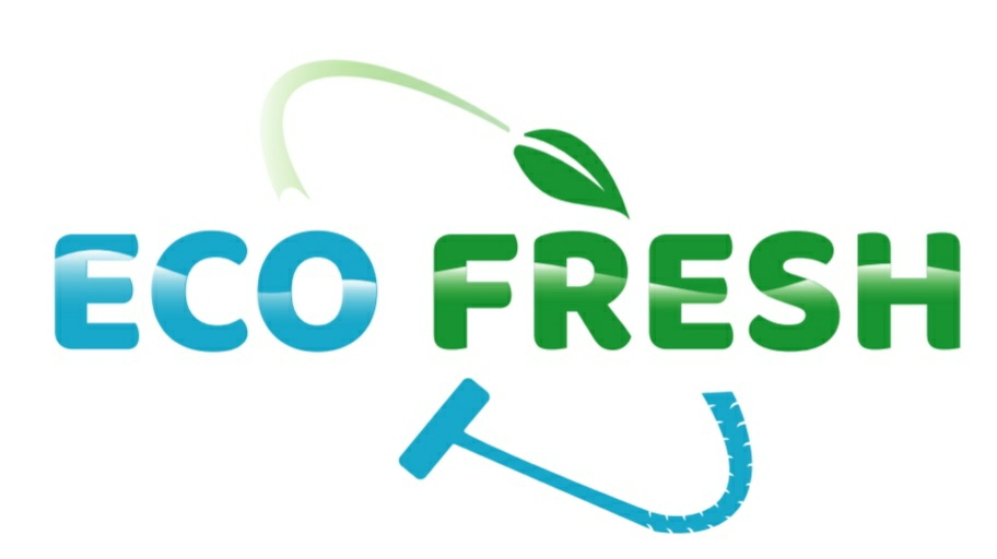 Eco-Fresh Carpet & Grout Cleaning | 80 Griselda Crescent, Brampton, ON L6S 1M3, Canada | Phone: (416) 993-9547