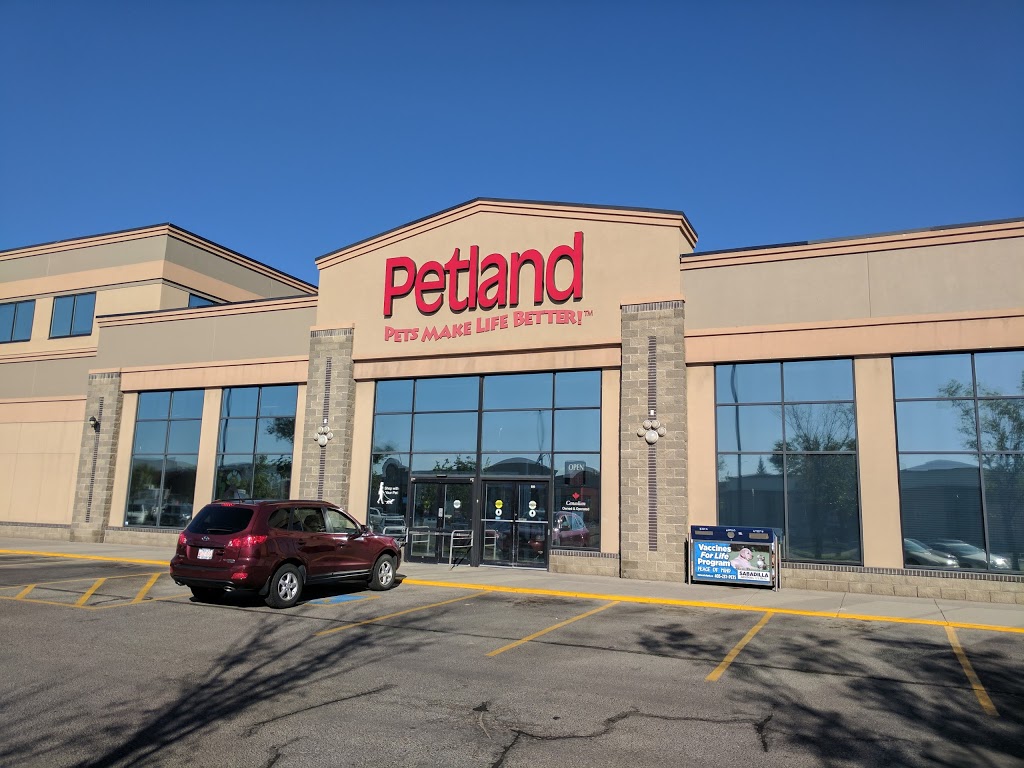 Petland | Shawnessy, 580, 303 Shawville Blvd SE, Calgary, AB T2Y 3W6, Canada | Phone: (403) 508-0040