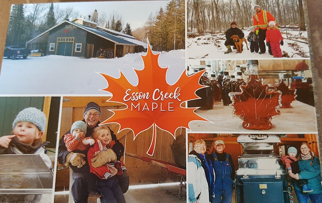 Greenmantle Farm Mineral Eco-Tours | 1984 Essonville Line Wilberforce On. K0L 3C0, Wilberforce, ON K0L 2Y0, Canada | Phone: (705) 448-3948