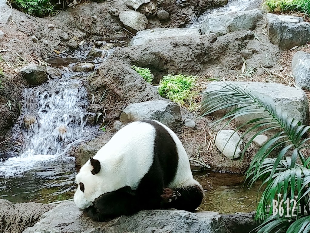 Calgary Zoo | 210 St. Georges Drive NE, Calgary, AB T2E 7V6, Canada | Phone: (403) 232-9300