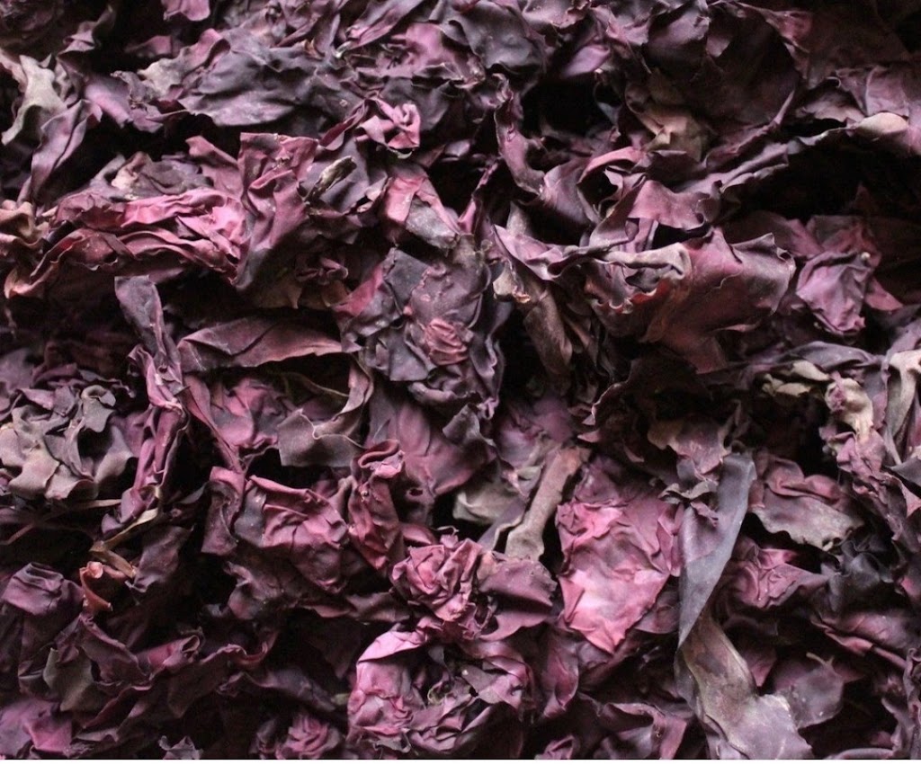 Seaside Nova Dulse | 1209 Granville Rd, Granville Ferry, NS B0S 1K0, Canada | Phone: (902) 308-2555