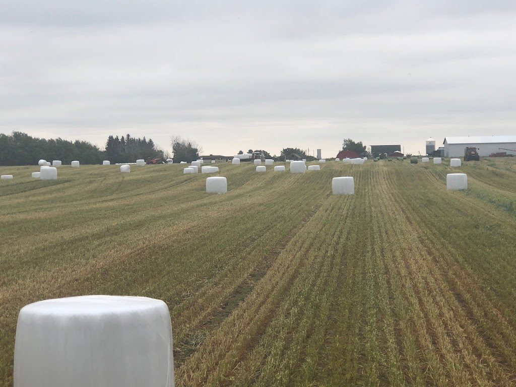 Lux Farms | 284159 Range Rd 23, Madden, AB T0M 1L0, Canada | Phone: (403) 946-5350