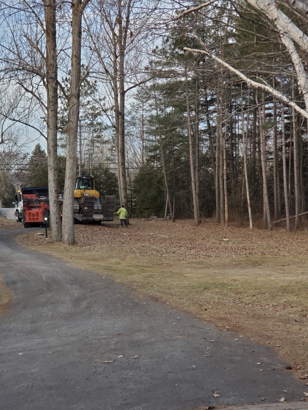 Manotick Tree Movers | 1966 Carsonby Rd W, North Gower, ON K0A 2T0, Canada | Phone: (613) 489-1116