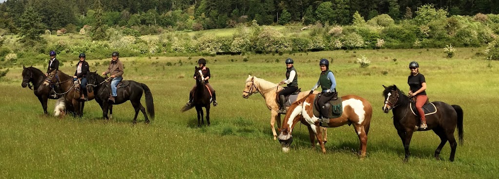Gulf Islands Horse Association | 113 Village Terrace, Salt Spring Island, BC V8K 2V2, Canada | Phone: (250) 537-2018