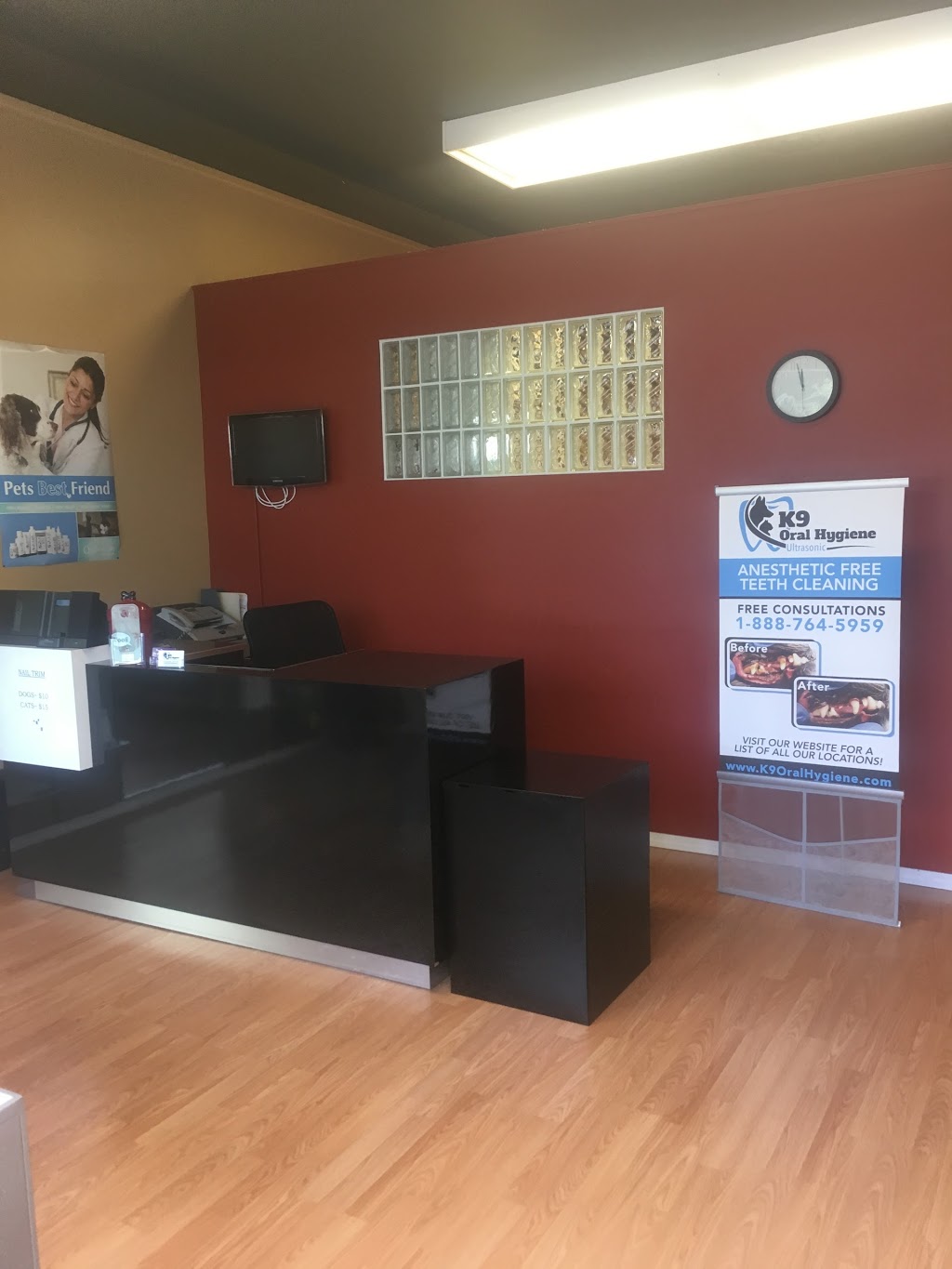 K9 Oral Hygiene | #1F 2753 Charlotte Road, Duncan, BC V9A 5J2, Canada | Phone: (250) 597-2275
