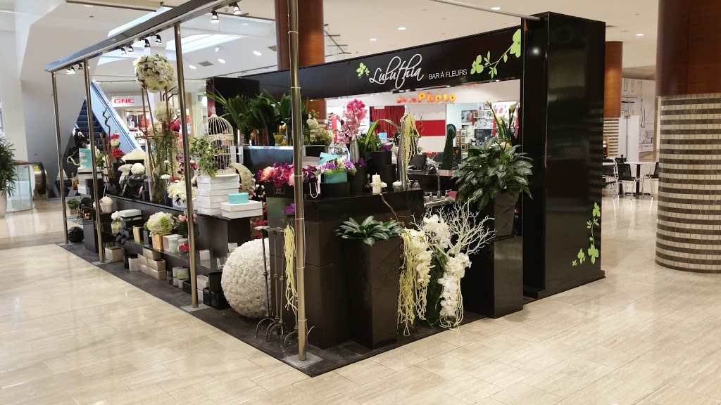 Luluthia Floral Design | 2305 Chemin Rockland, Mont-Royal, QC H3P 3E9, Canada | Phone: (514) 315-8081