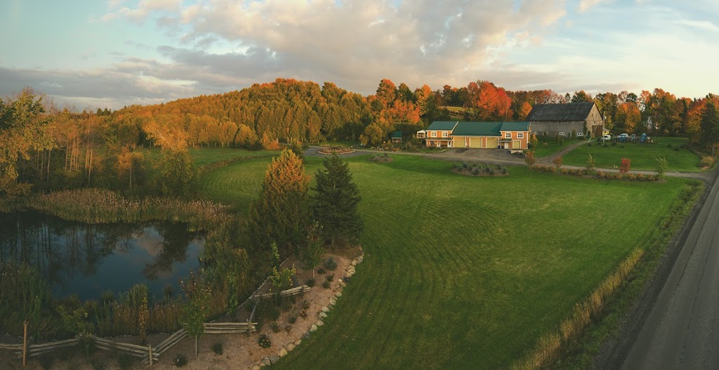 Downey Tree farm & Nursery | 6196 Chem. North, Hatley, QC J0B 4B0, Canada | Phone: (819) 566-0319