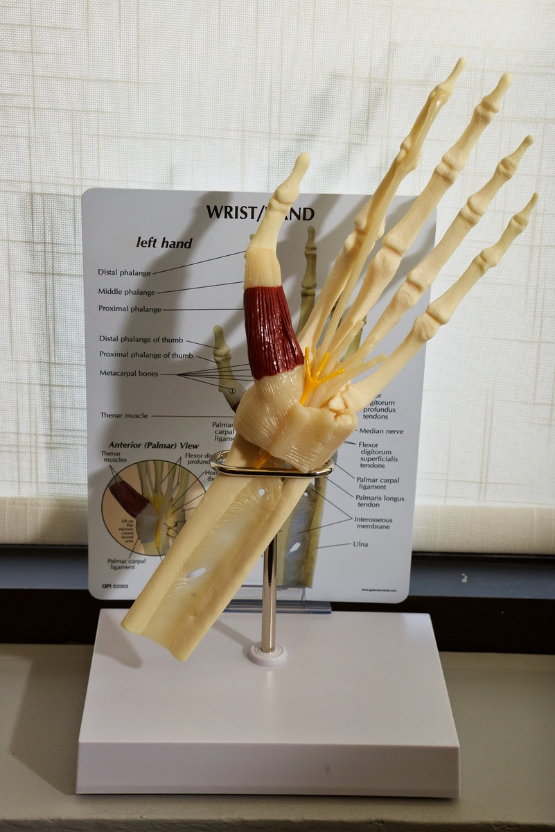 Family Physiotherapy Centre | 310 Wellington Rd, London, ON N6C 4P4, Canada | Phone: (519) 439-6111