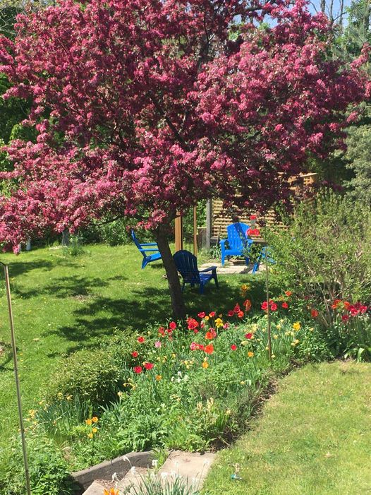 Alison Clarke, Natural Health Therapist | 109 Kelwood Ln, Colborne, ON K0K 1S0, Canada | Phone: (289) 251-6882