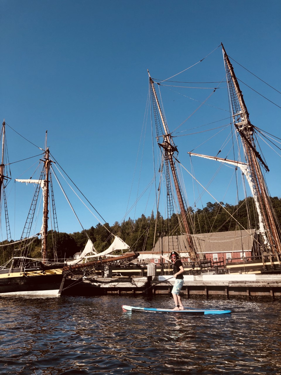 Wild Dreamer Yoga & SUP | 53 Hill Top Dr, Penetanguishene, ON L9M 1H3, Canada | Phone: (647) 239-9189