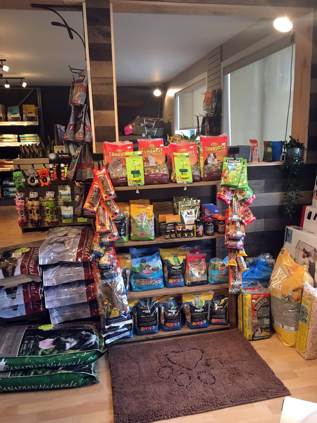 RuffMutts | 290 Main St Unit D, Niverville, MB R0A 1E0, Canada | Phone: (204) 846-7833