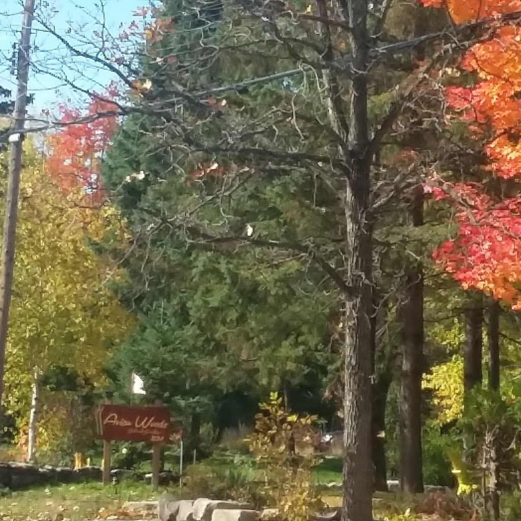 Avian Woods Bed & Breakfast | 231 Front St W P227, Bobcaygeon, ON K0M 1A0, Canada | Phone: (705) 731-0331