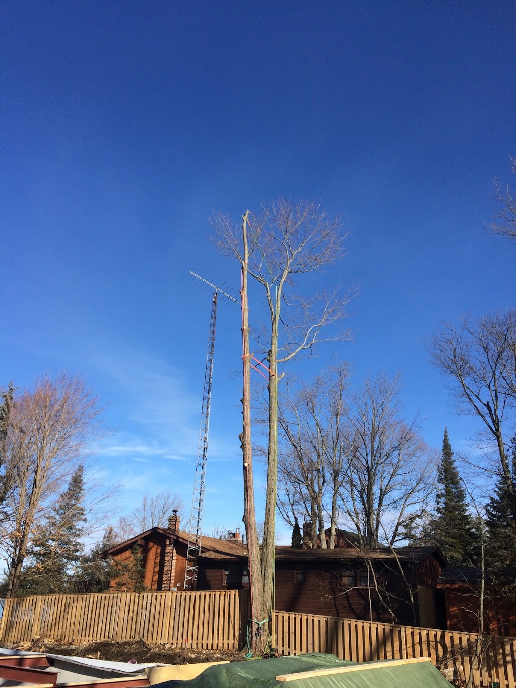 REDWAL Tree Service | 44 Riverview Dr, Omemee, ON K0L 2W0, Canada | Phone: (705) 768-2855
