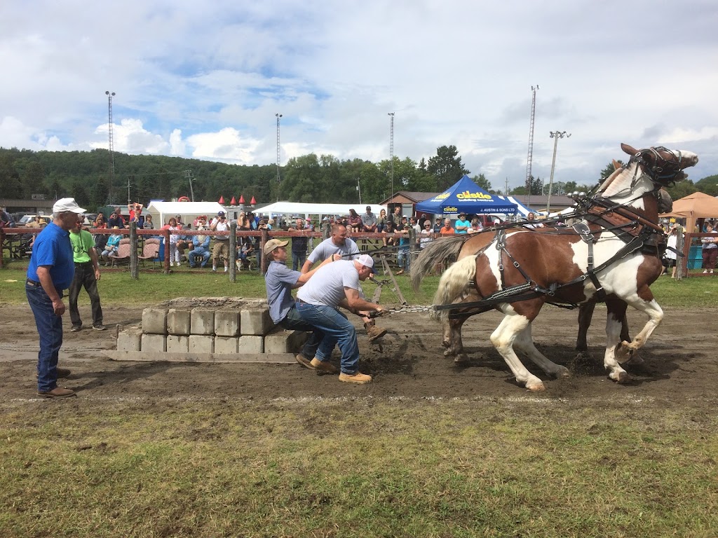 Municipality of Highlands East | 2249 Loop Rd, Wilberforce, ON K0L 3C0, Canada | Phone: (705) 448-2981