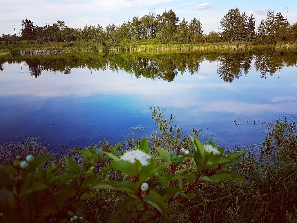 Potter Greens Pond | 1304 Potter Greens Dr NW, Edmonton, AB T5T 6A3, Canada