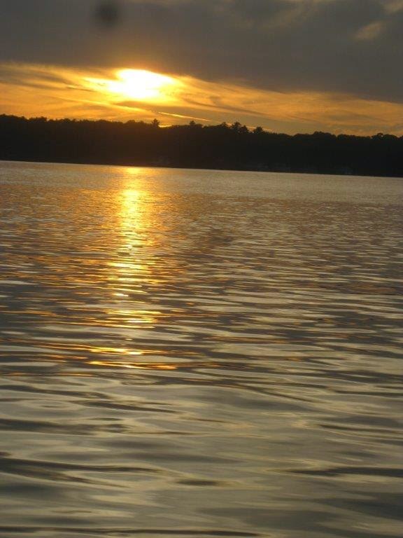 Mark Gidley, Forest Hill Real Estate Inc. Brokerage | 3125 Muskoka District Road 169, Bala, ON P0C 1A0, Canada | Phone: (705) 706-7065
