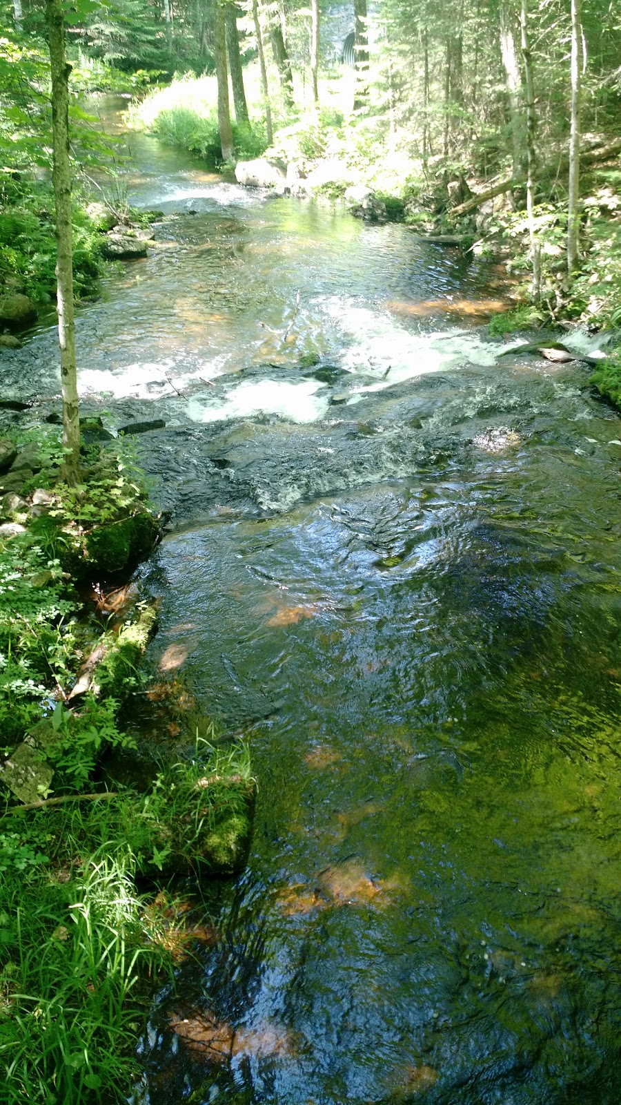 Silent Lake Park | Highlands East, ON K0L 1M0, Canada | Phone: (613) 339-2807