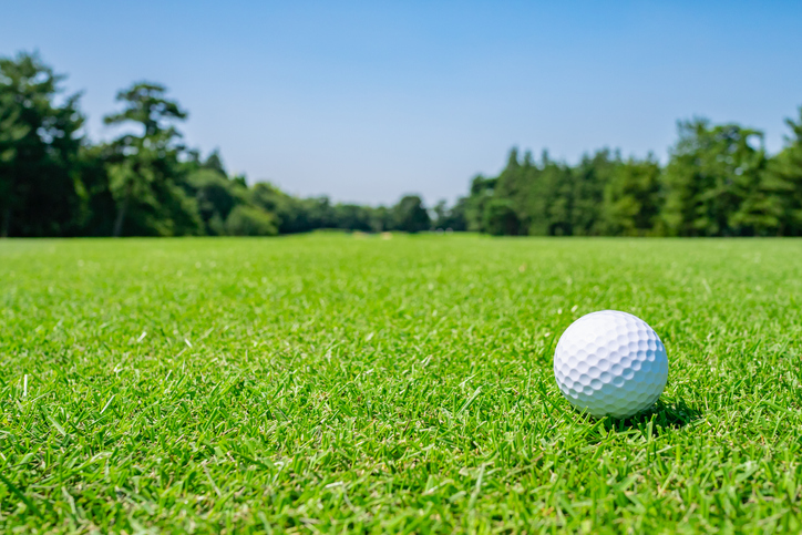 East Coast Turf Ltd. | 537 Charles Lutes Rd, Lutes Mountain, NB E1G 2T5, Canada | Phone: (506) 855-1282