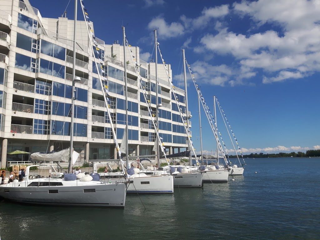 Gone Sailing Adventures | 415 Queens Quay W, Toronto, ON M5V 1A2, Canada | Phone: (416) 240-0202