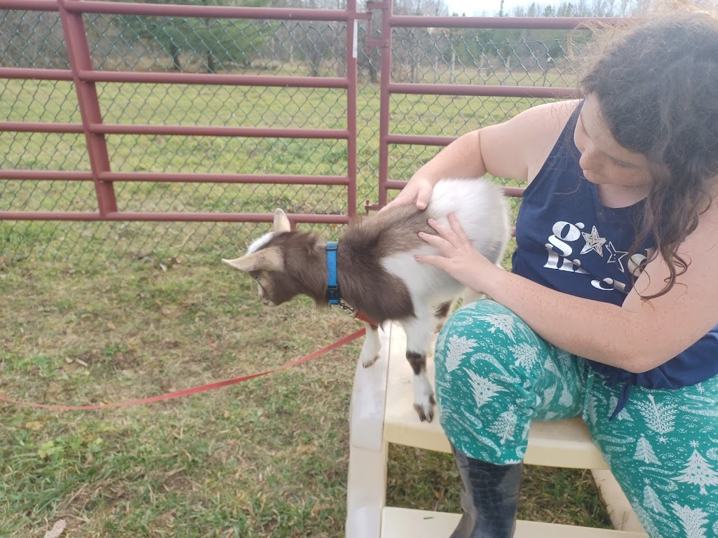 STARDUST ACRES A FLAHERTY FARM | 205 Pickerel Point Rd RR6, Lindsay, ON K9V 4R6, Canada | Phone: (705) 344-5580