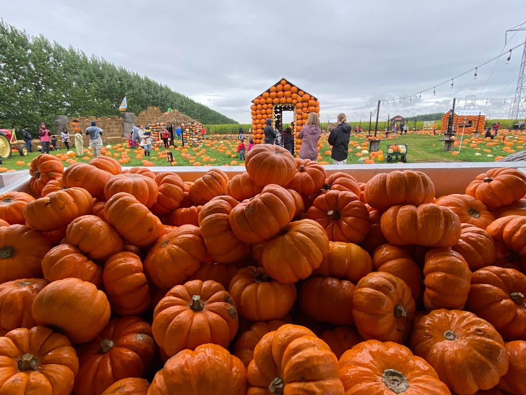 Ferme Benoit Vernier | 560 69e Avenue, Saint-Zotique, QC J0P 1Z0, Canada | Phone: (438) 700-6318