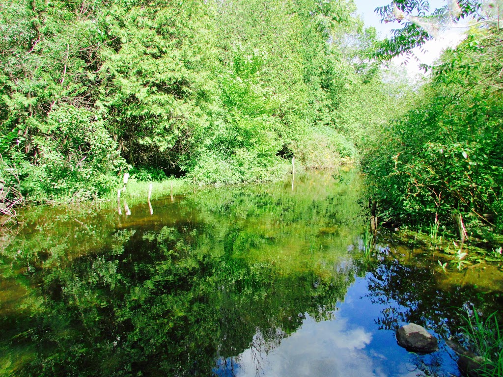 Bond Tract | 6765 Concession 1, Puslinch, ON N0B 2J0, Canada | Phone: (519) 621-2761