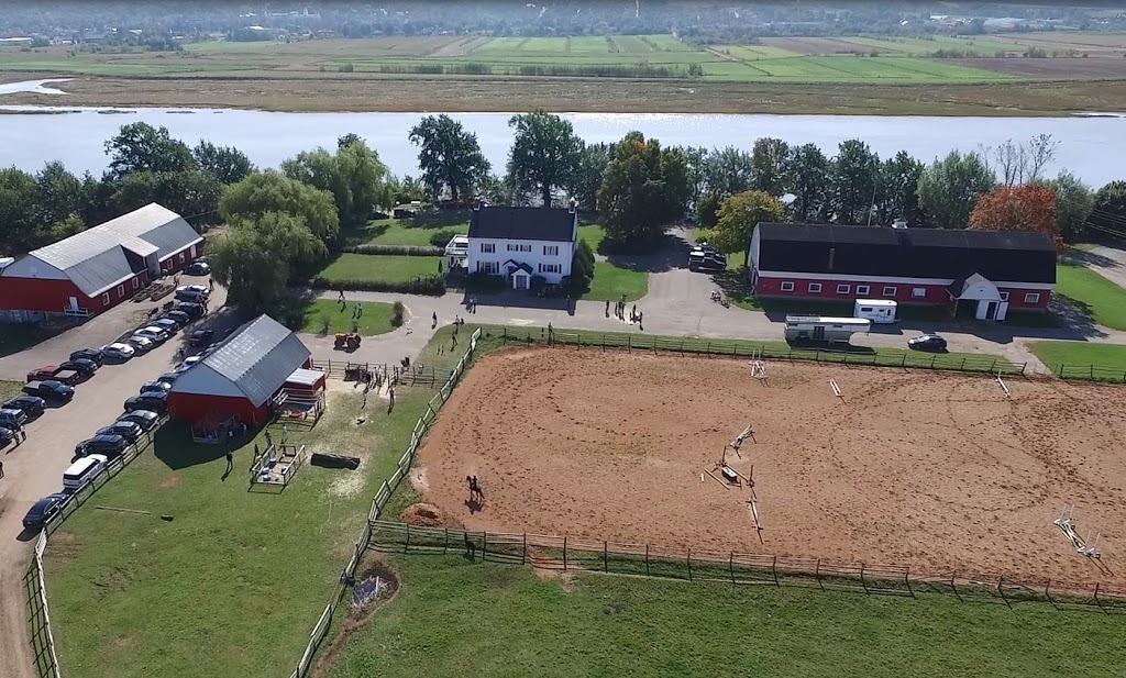 Willowbank U-Pick Farm | Starrs, 110 Starrs Point Loop, Port Williams, NS B0P 1T0, Canada | Phone: (902) 542-9153