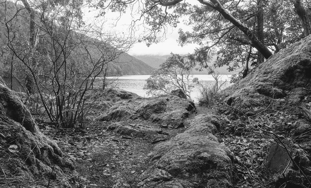 McKenzie Bight Trailhead | 54-98 Ross Durrance Rd, Victoria, BC V9E 2A3, Canada