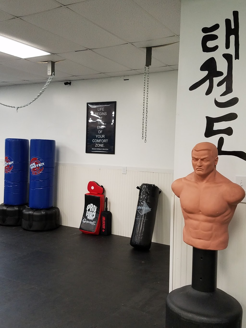 Master Biesik’s Martial Arts | 1087 Erie Ave Suite 202, North Tonawanda, NY 14120, USA | Phone: (716) 246-4853