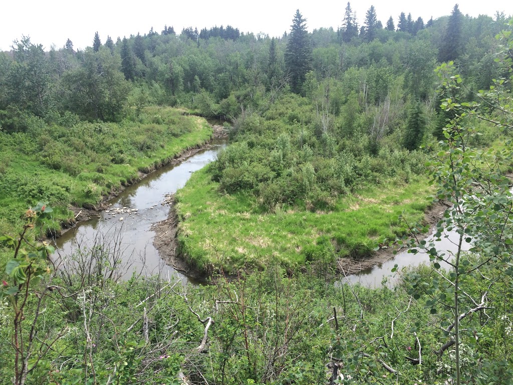 Blackburn Creek Park | 507 107 St SW, Edmonton, AB T6W 1A2, Canada