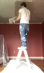 Ottawa Drywall Repairs | 1664 Baseline Rd, Ottawa, ON K2C 0B7, Canada | Phone: (613) 884-8893