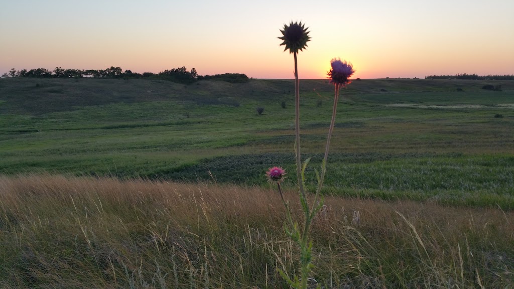 Craik & District Regional Park | 2 km north of Craik, SK, Craik, SK S0G 0V0, Canada | Phone: (306) 734-5102