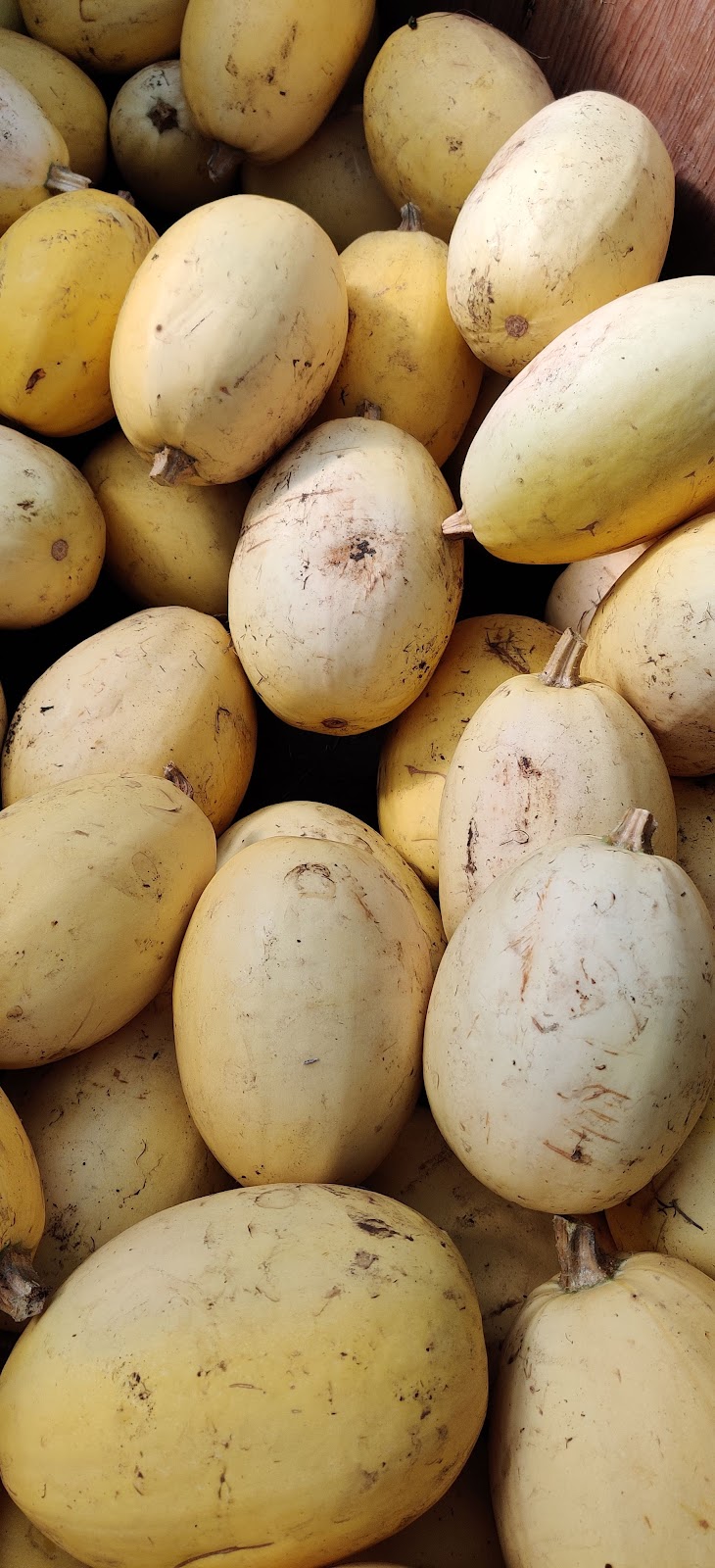 UBC Farm Saturday Farmers’ Market | 3461 Ross Drive, Vancouver, BC V6T 1Z4, Canada | Phone: (604) 822-5092