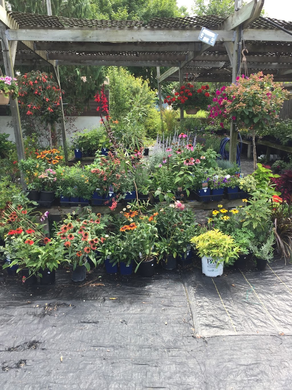 Eramosa Garden Centre | 5104 3 Line, Guelph/Eramosa, ON N0B 2K0, Canada | Phone: (519) 993-2583