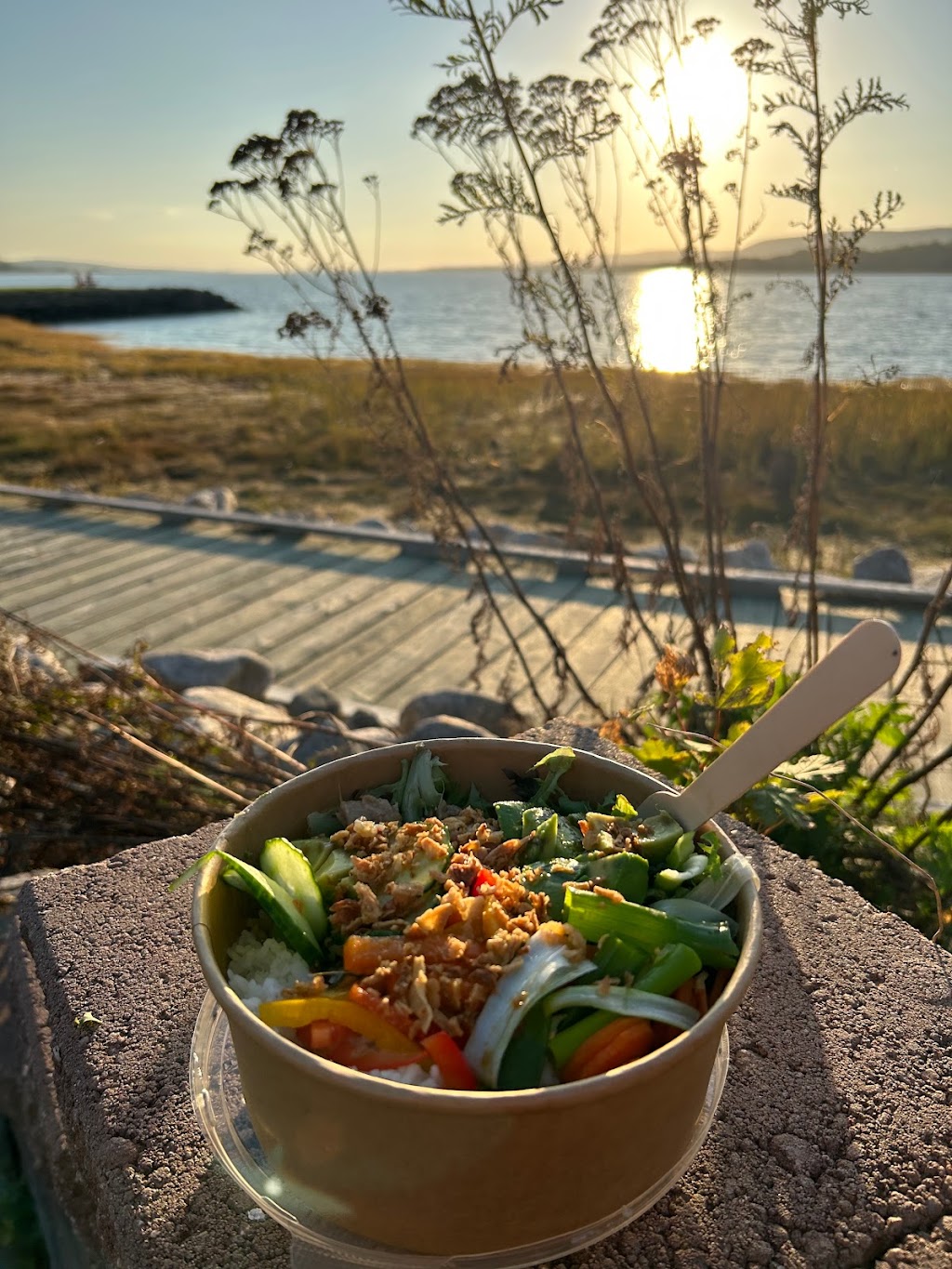 The Poke Bowl AR | 288 St George St, Annapolis Royal, NS B0S 1A0, Canada | Phone: (902) 349-3929