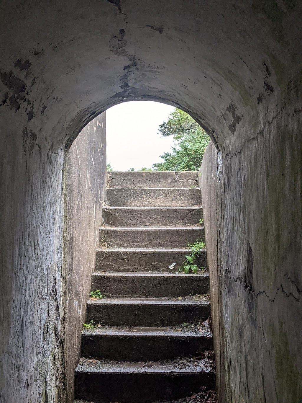 York Redoubt National Historic Site | 300 Fergusons Cove Rd, Fergusons Cove, NS B3V 1G3, Canada | Phone: (902) 426-5080