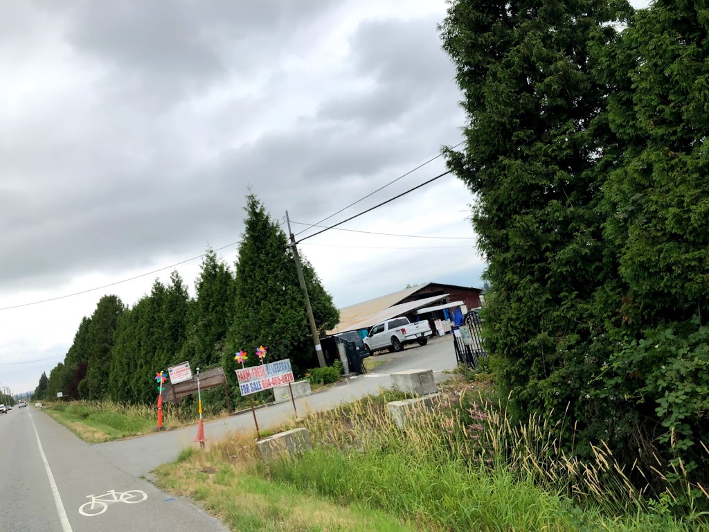 Dulay Brother Farms | 19809 Old Dewdney Trunk Rd, Pitt Meadows, BC V3Y 2R8, Canada | Phone: (604) 465-0820