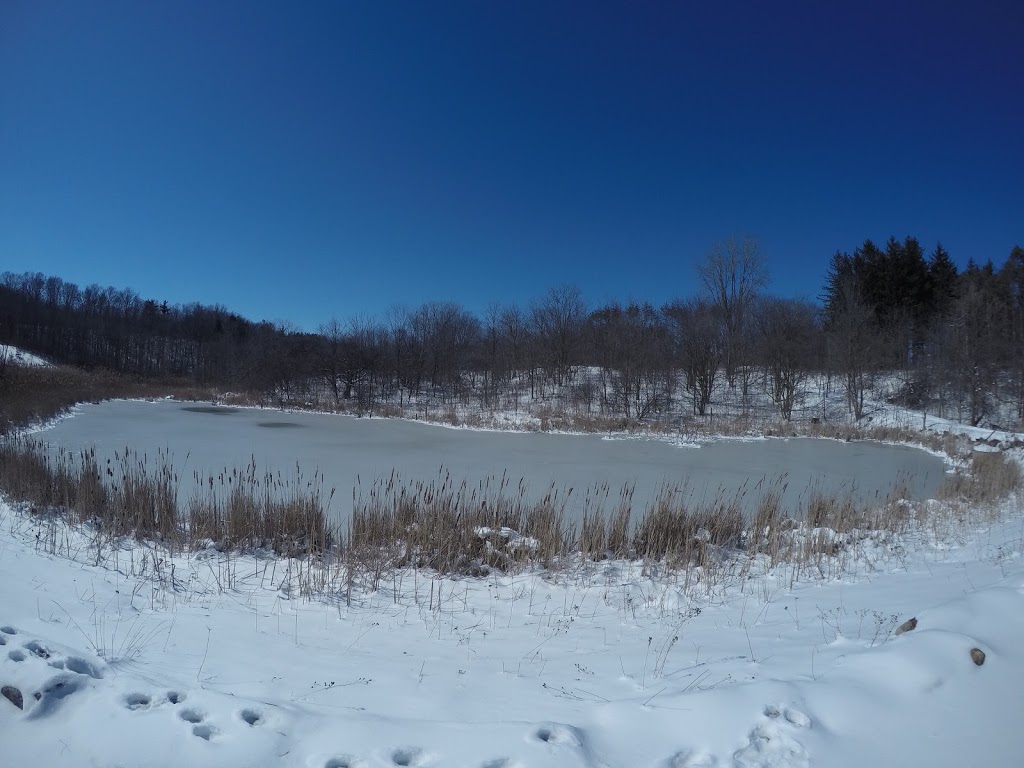 Red Hill Trail - south parking lot | 169 Mud St, Hamilton, ON L8K, Canada