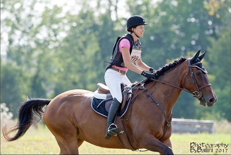 Querencia Stables | 1992 Sandhill Rd, Waubaushene, ON L0K 2C0, Canada | Phone: (705) 970-0001