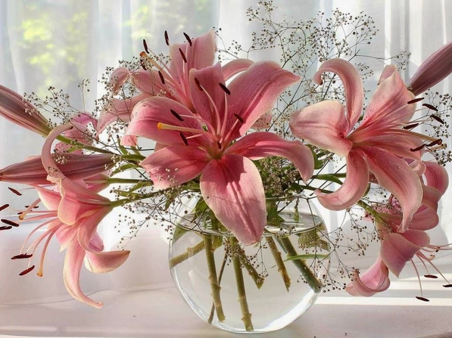 Josephines Floral Expressions | 2208 Hamilton St, New Westminster, BC V3M 2R1, Canada | Phone: (778) 898-3569