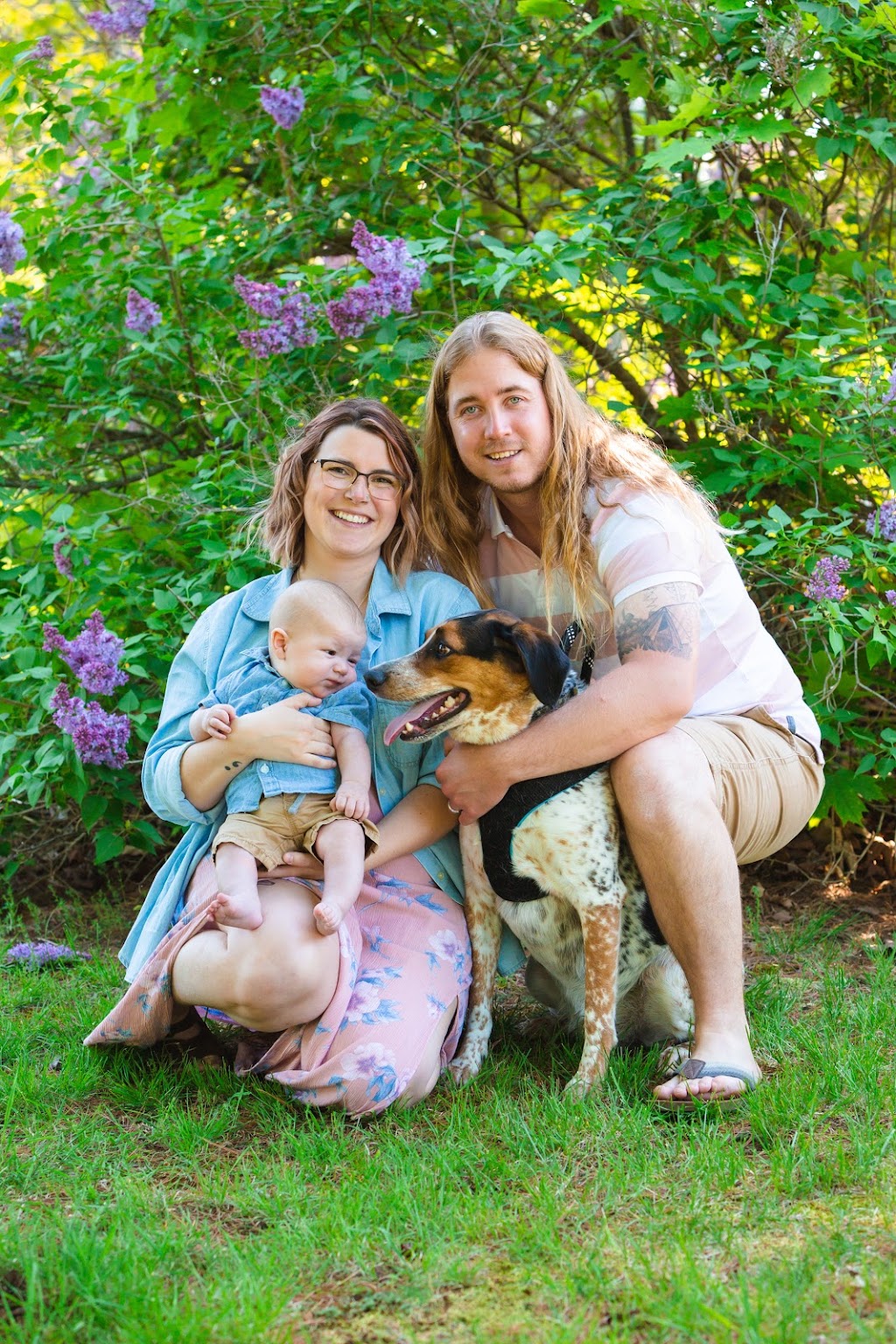 Soultree Photography | HWY 118 W, Bracebridge, ON P1L 2B9, Canada | Phone: (705) 646-1576