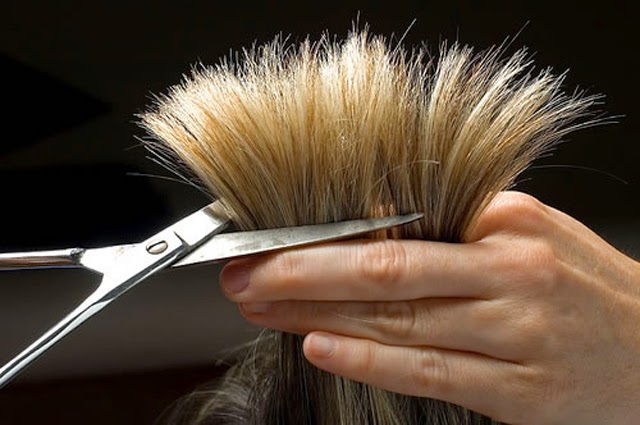 Fusion Beauty Nails & Hair | 10310 152 St, Surrey, BC V3R 4G8, Canada | Phone: (604) 588-8667