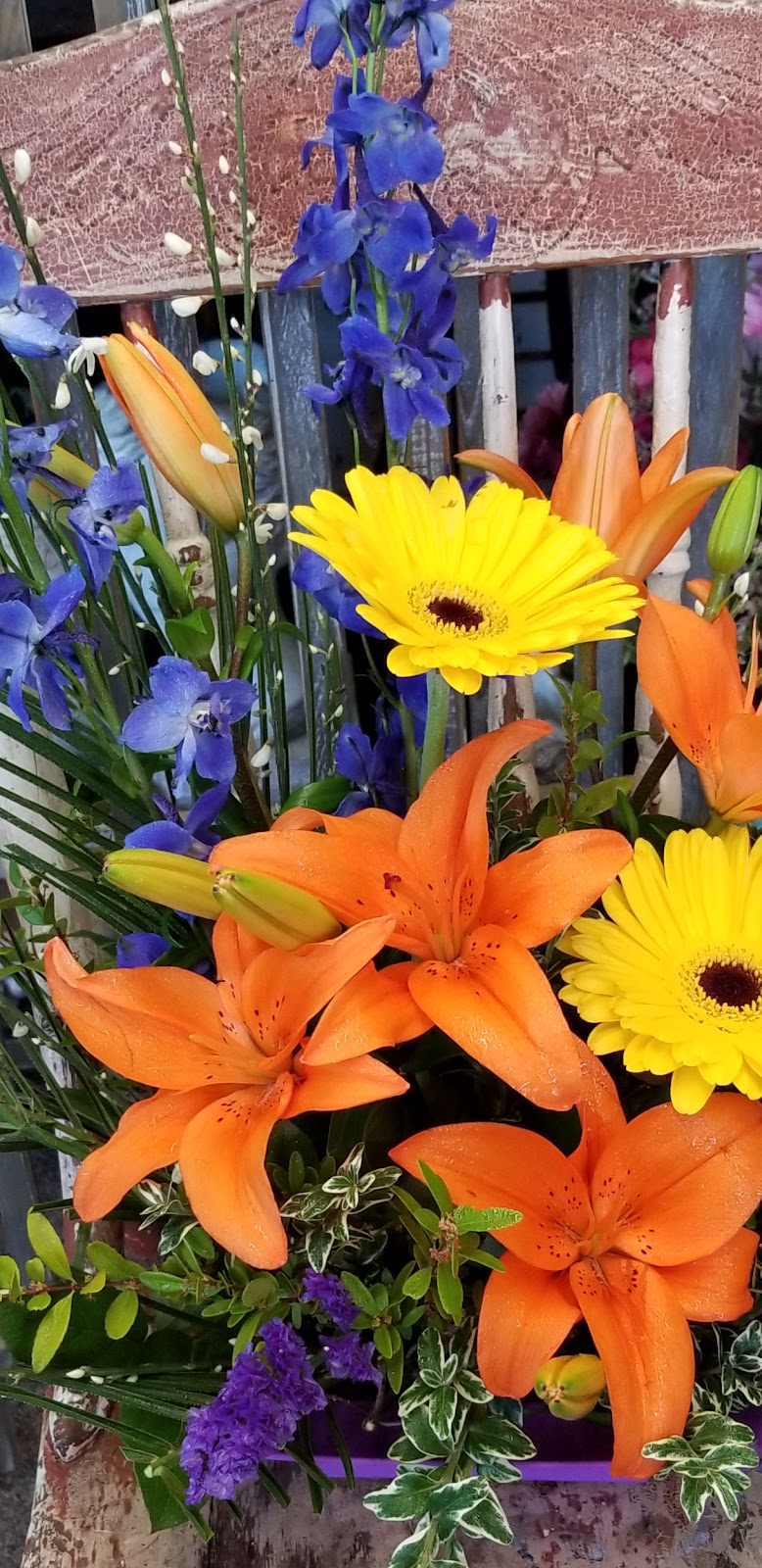 The Flower Barn Westlock | 10016 107 St, Westlock, AB T7P 2K8, Canada | Phone: (780) 349-5454