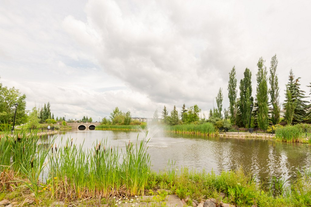 Shelly Reddy | 15057 Stony Plain Rd #200, Edmonton, AB T5P 4W1, Canada | Phone: (780) 919-5842