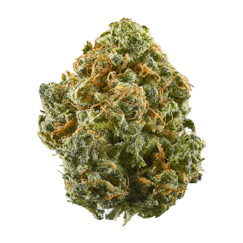 Uber Buds WeedDelivery | 183 Brimley Rd, Scarborough, ON M1M 3T1, Canada | Phone: (437) 928-5229